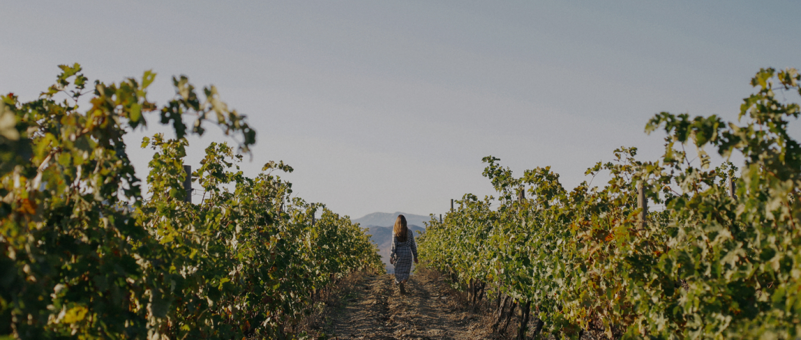 Un Celler al Cap de Creus