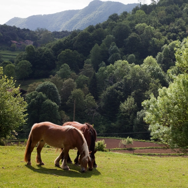 sostenibilitat-00-Parc-Natural-de-la-Zona-Volcanica-de-la-Garrotxa-c-Maria-Geli-Pilar-Planaguma