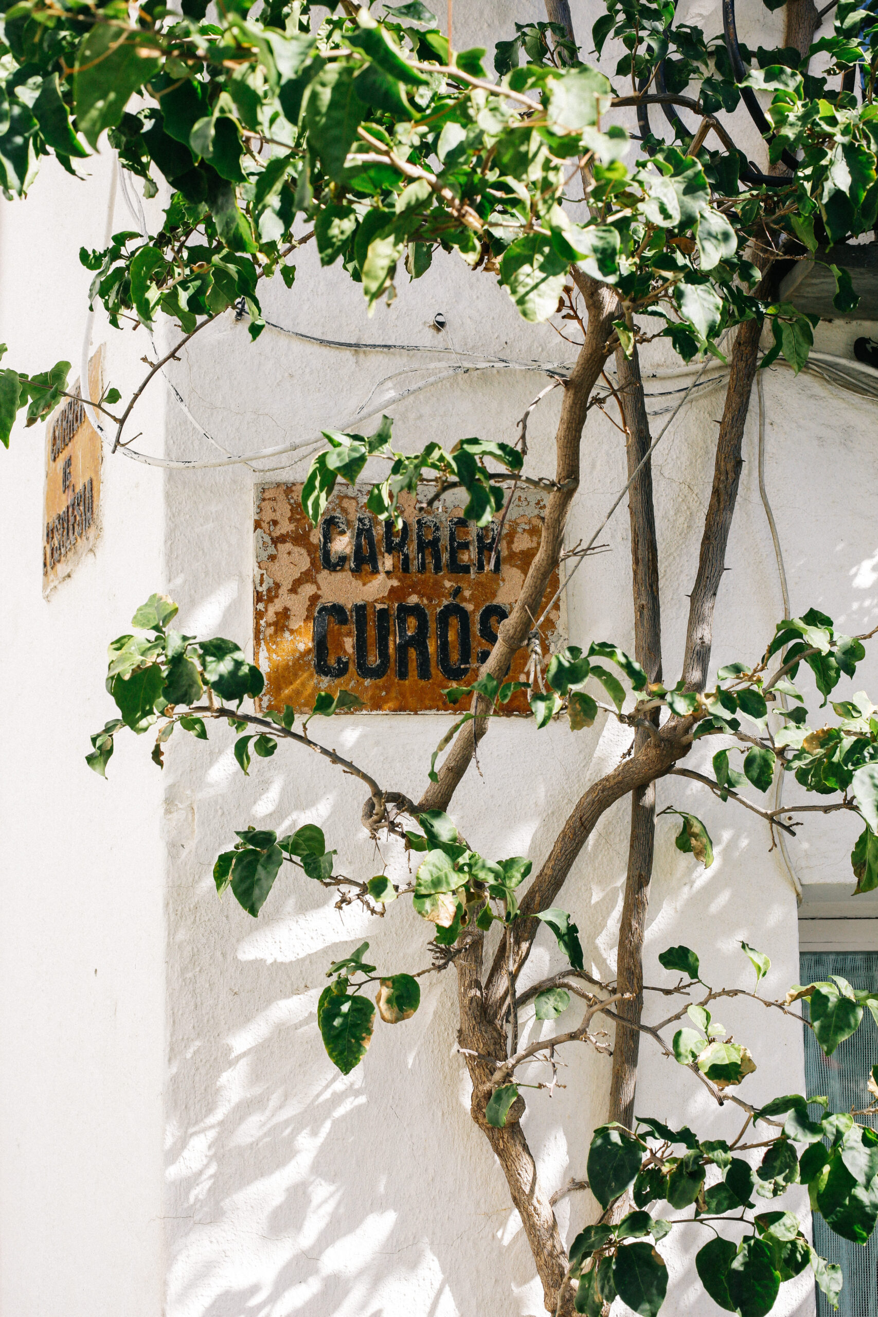 Cap_de_creus-4156