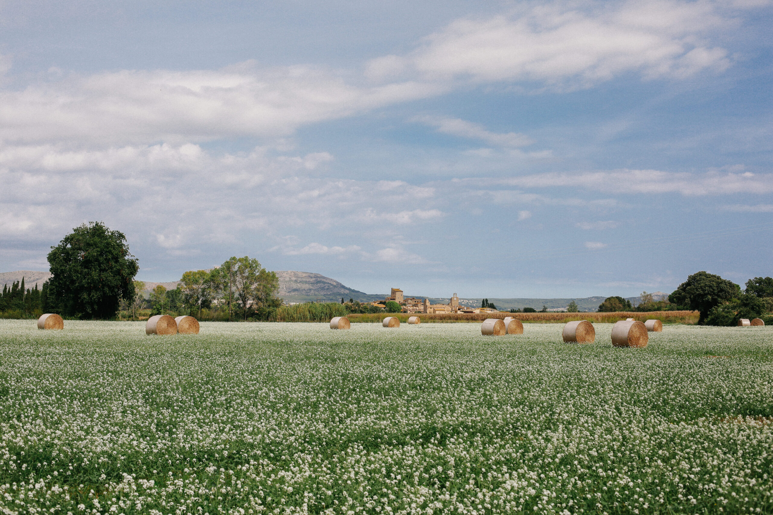 La segunda vida de los pueblos medievales