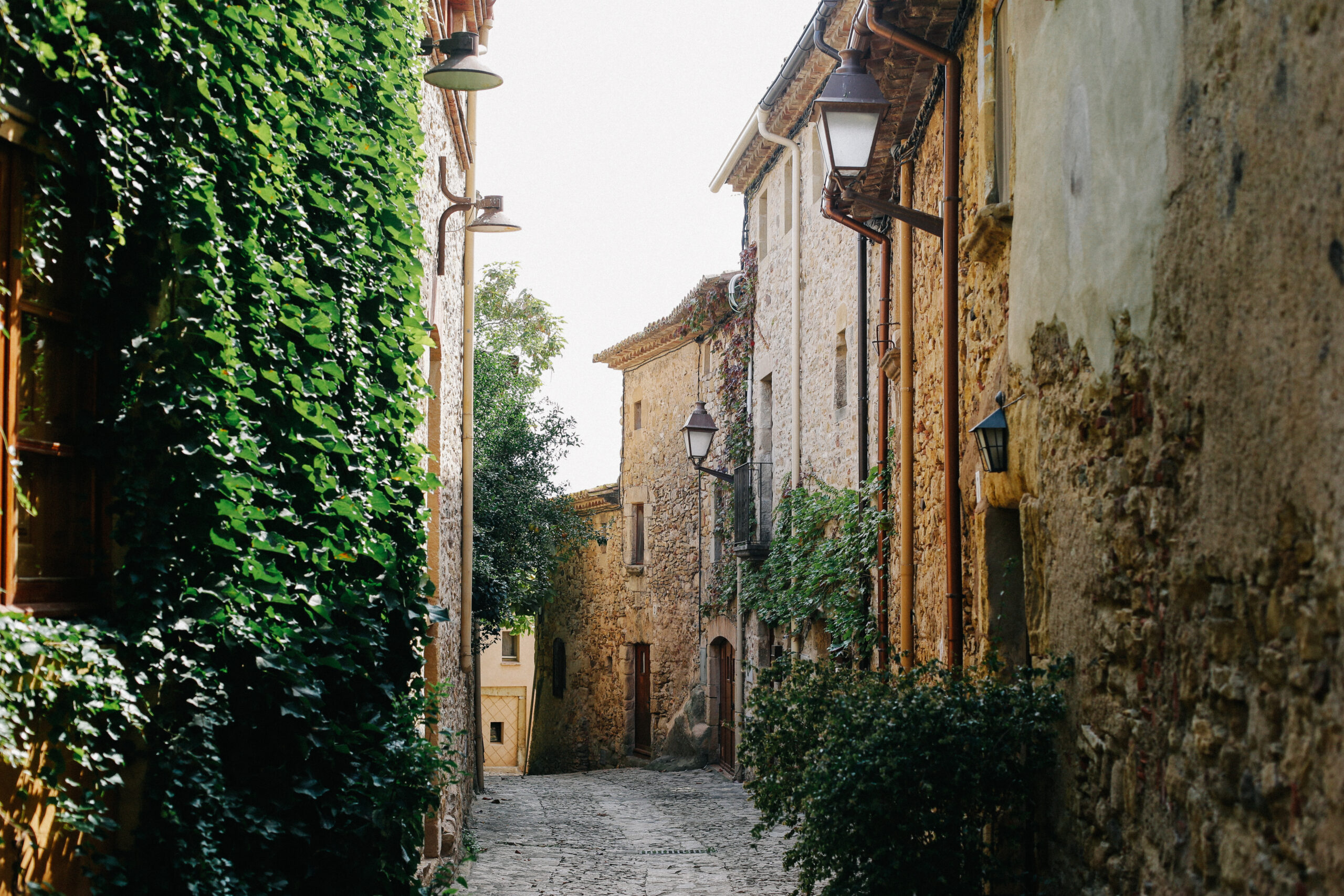 Poble medieval. Anna Pla-Narbona. Arxiu Imatges PTCBG (1)