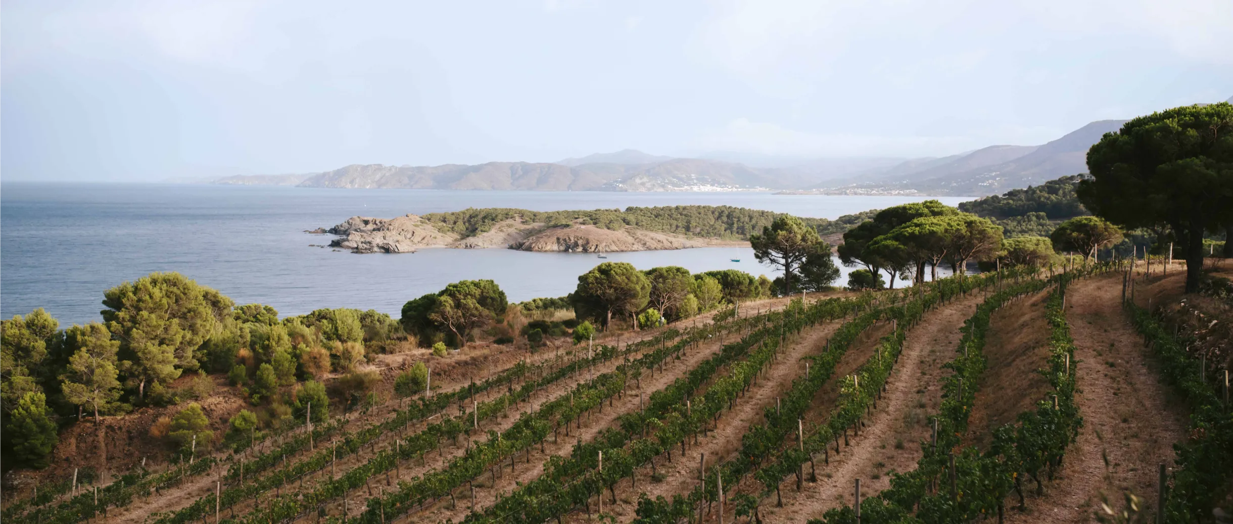 Visita privada a Finca Garbet i al Celler Perelada