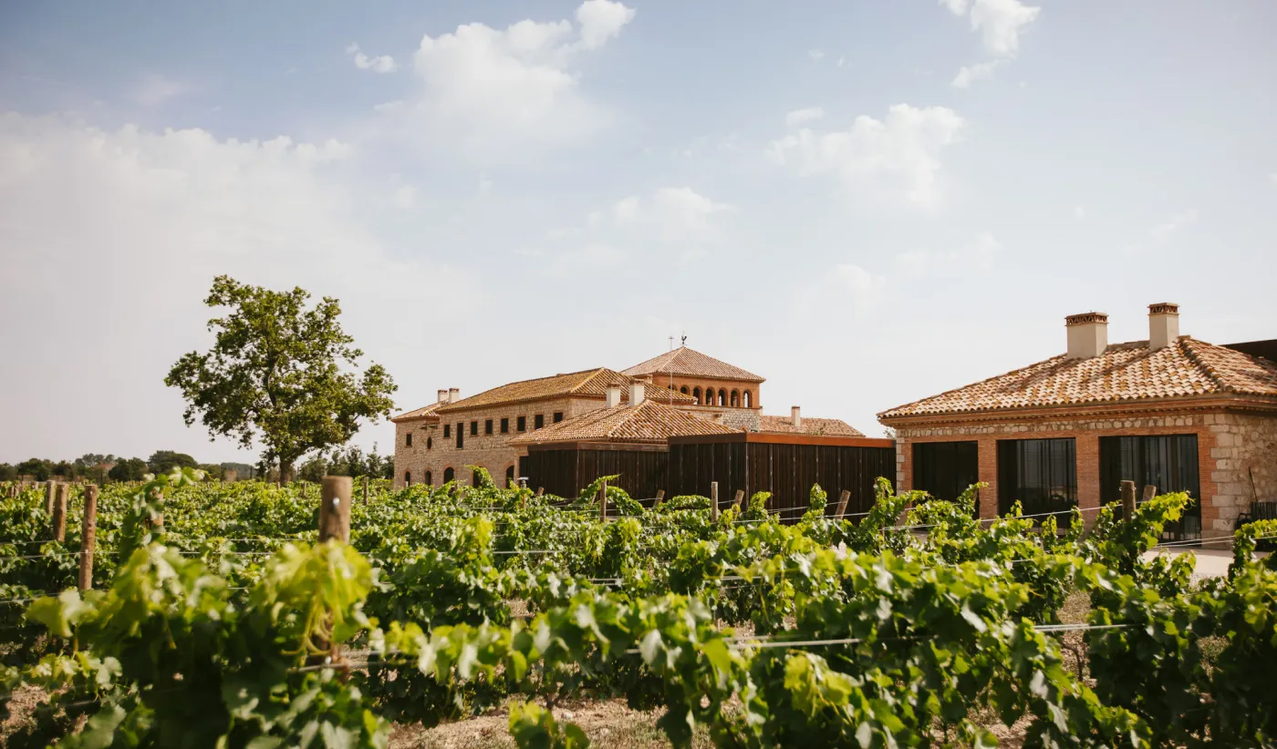 Visita-Premium-al-Nou-Celler-Perelada.Perelada.carr2_-1