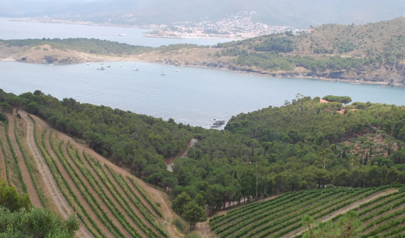 Visita-privada-a-Finca-Garbet-i-al-Celler-Perelada.Perelada.carr2_