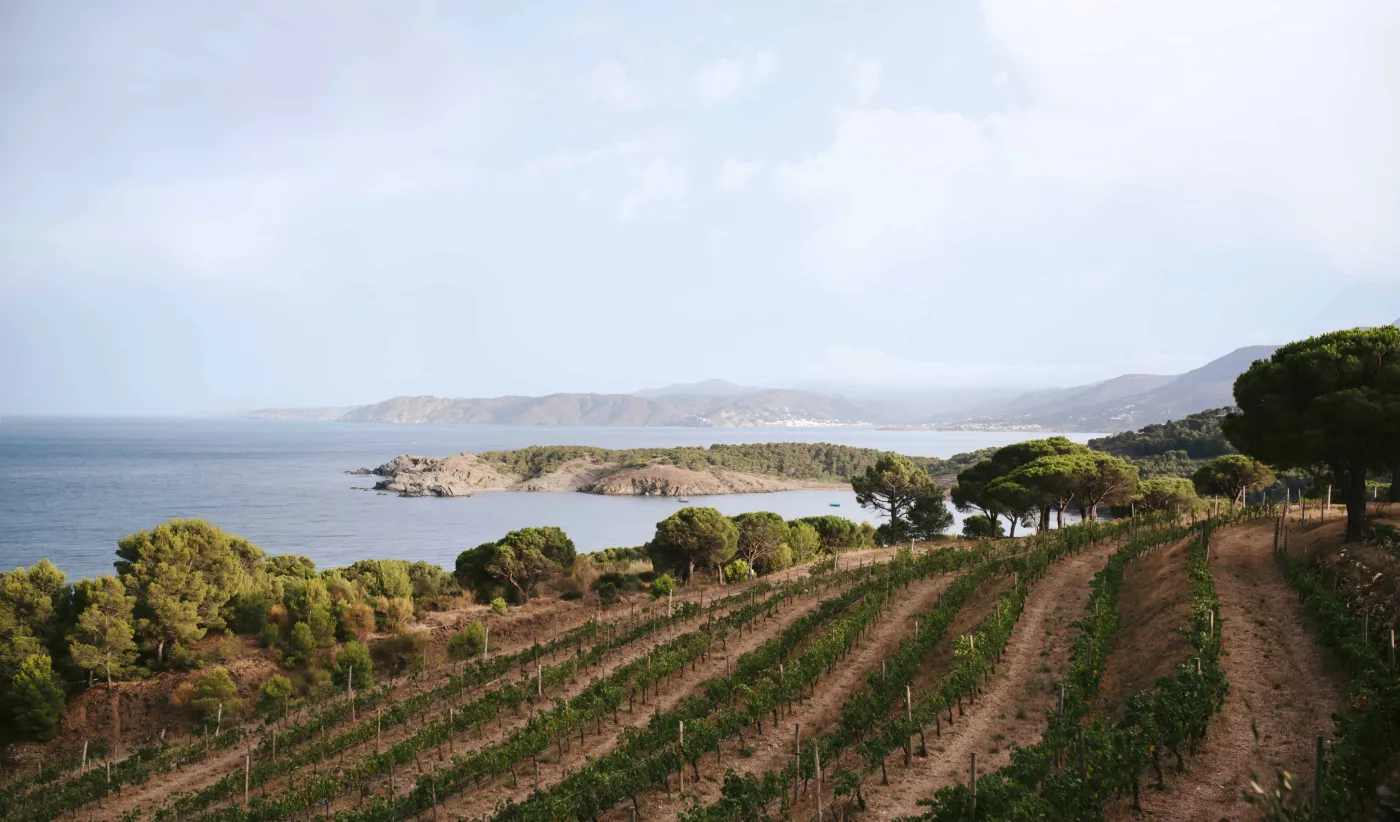 Visita-privada-a-Finca-Garbet-i-al-Celler-Perelada.Perelada.carr_-1